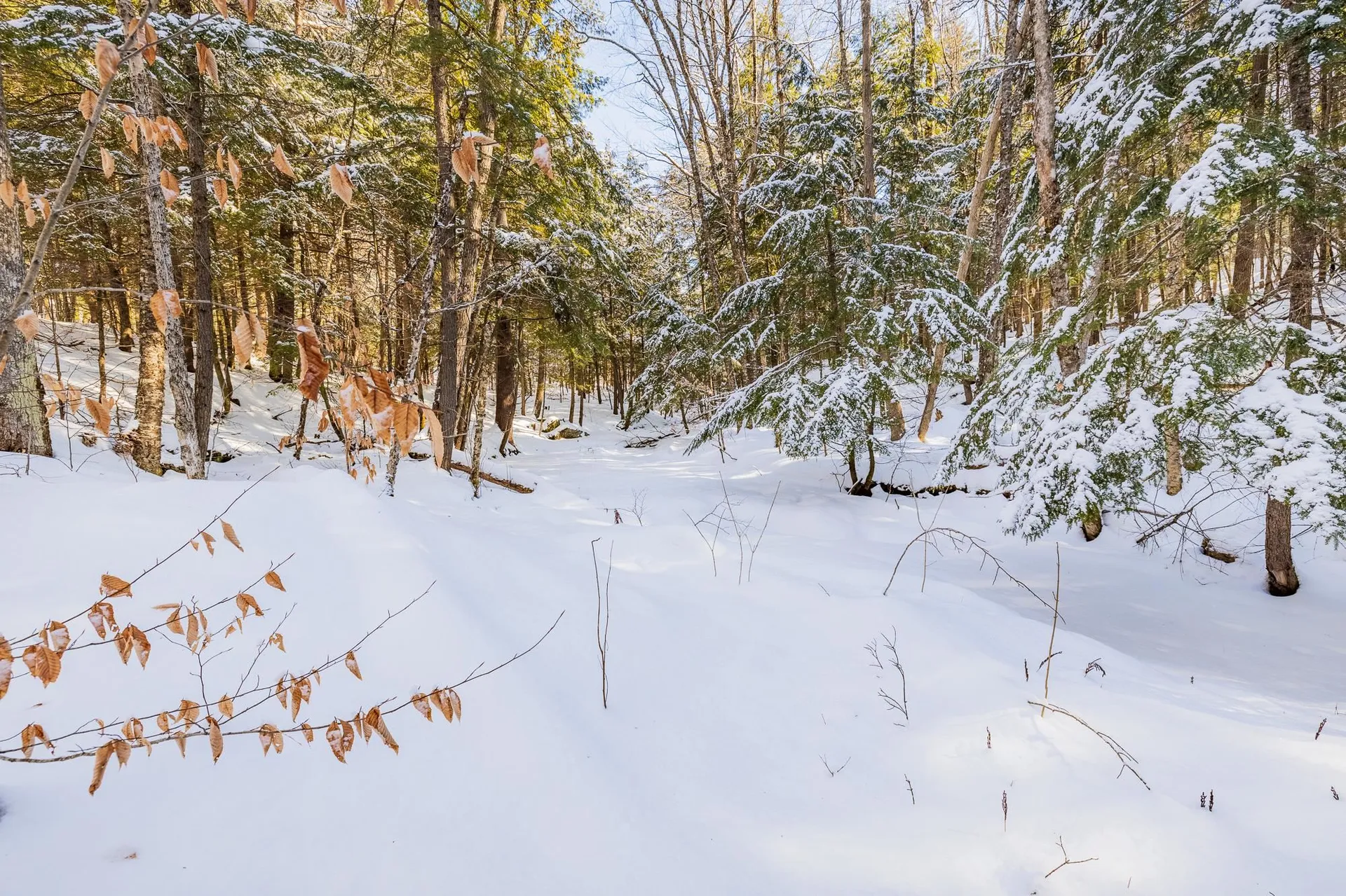 15 Thompson Road Hanover NH 03755