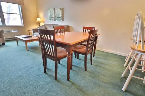 164 Deer Park Drive Woodstock NH 03262