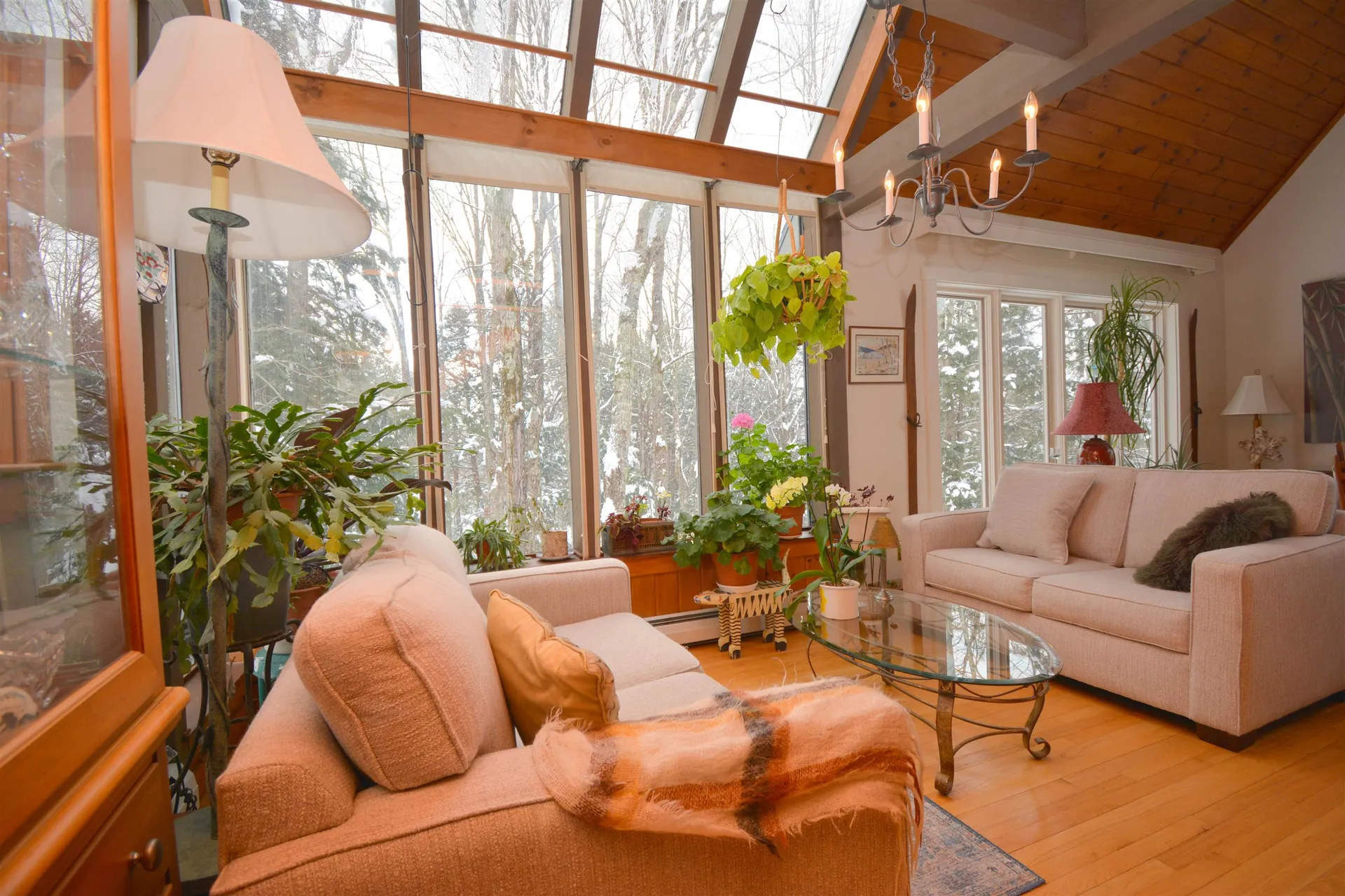 29 Wildwood Drive Grantham NH 03753