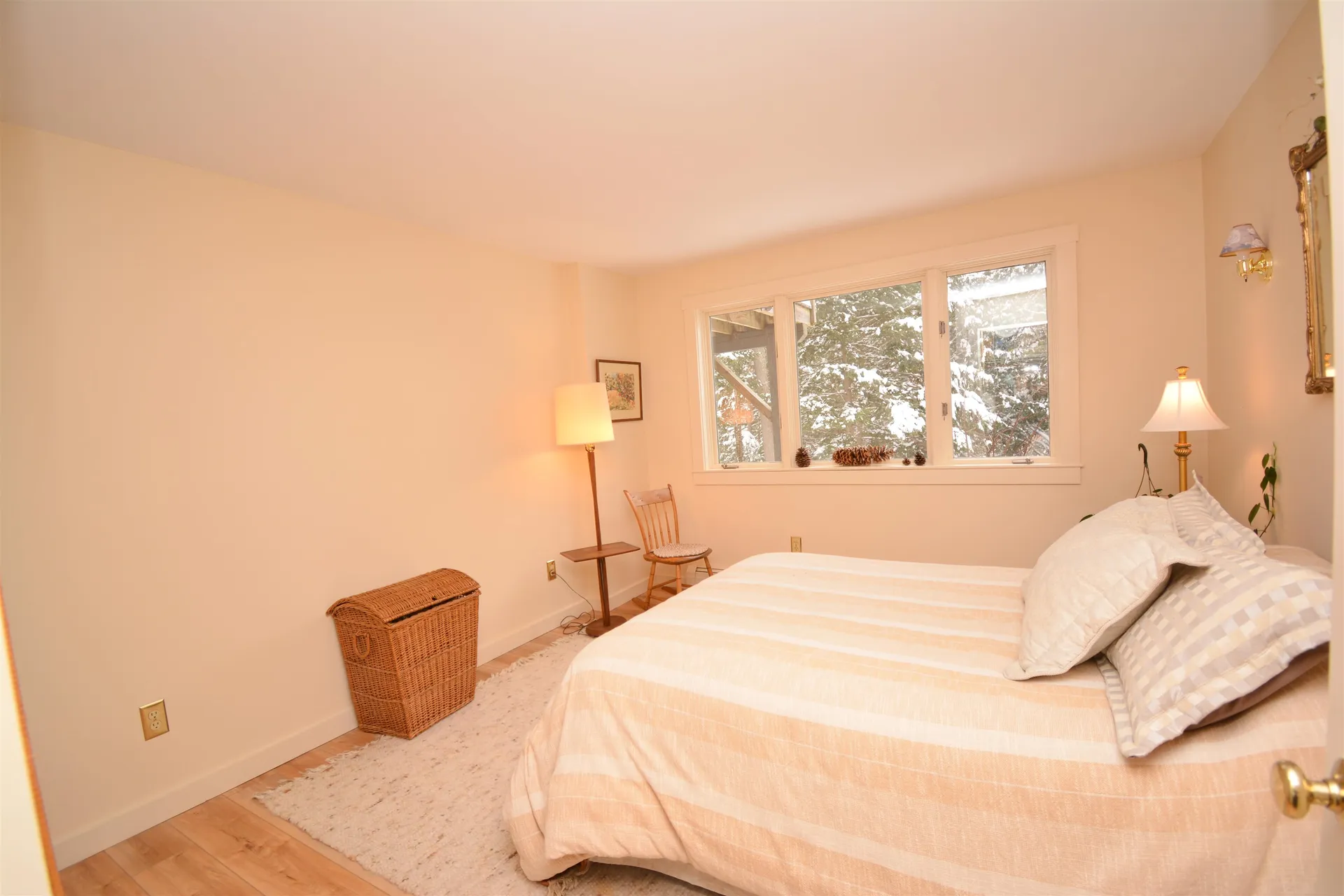 29 Wildwood Drive Grantham NH 03753