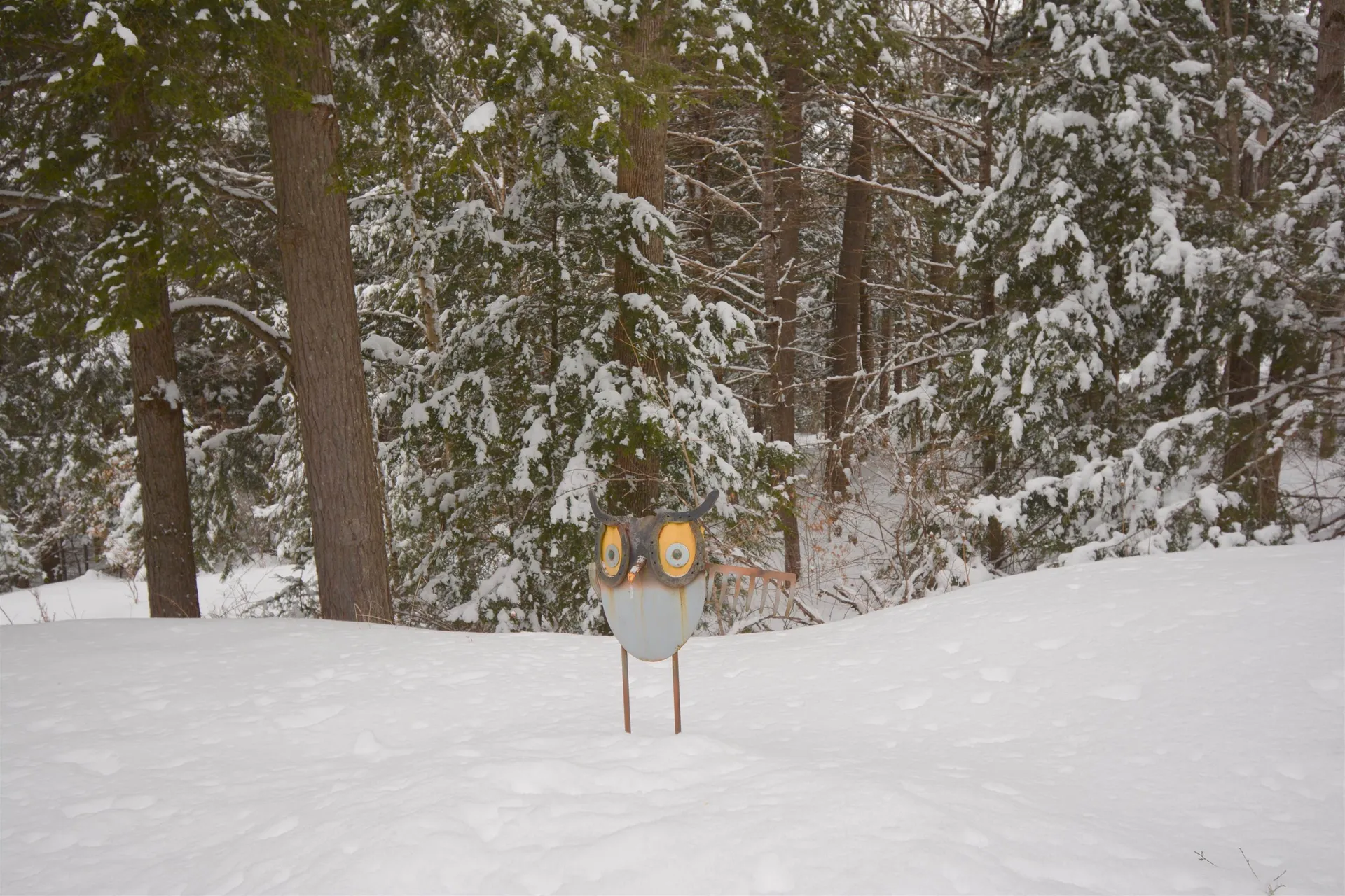 29 Wildwood Drive Grantham NH 03753