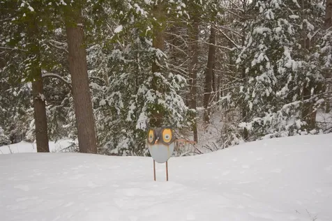 29 Wildwood Drive Grantham NH 03753