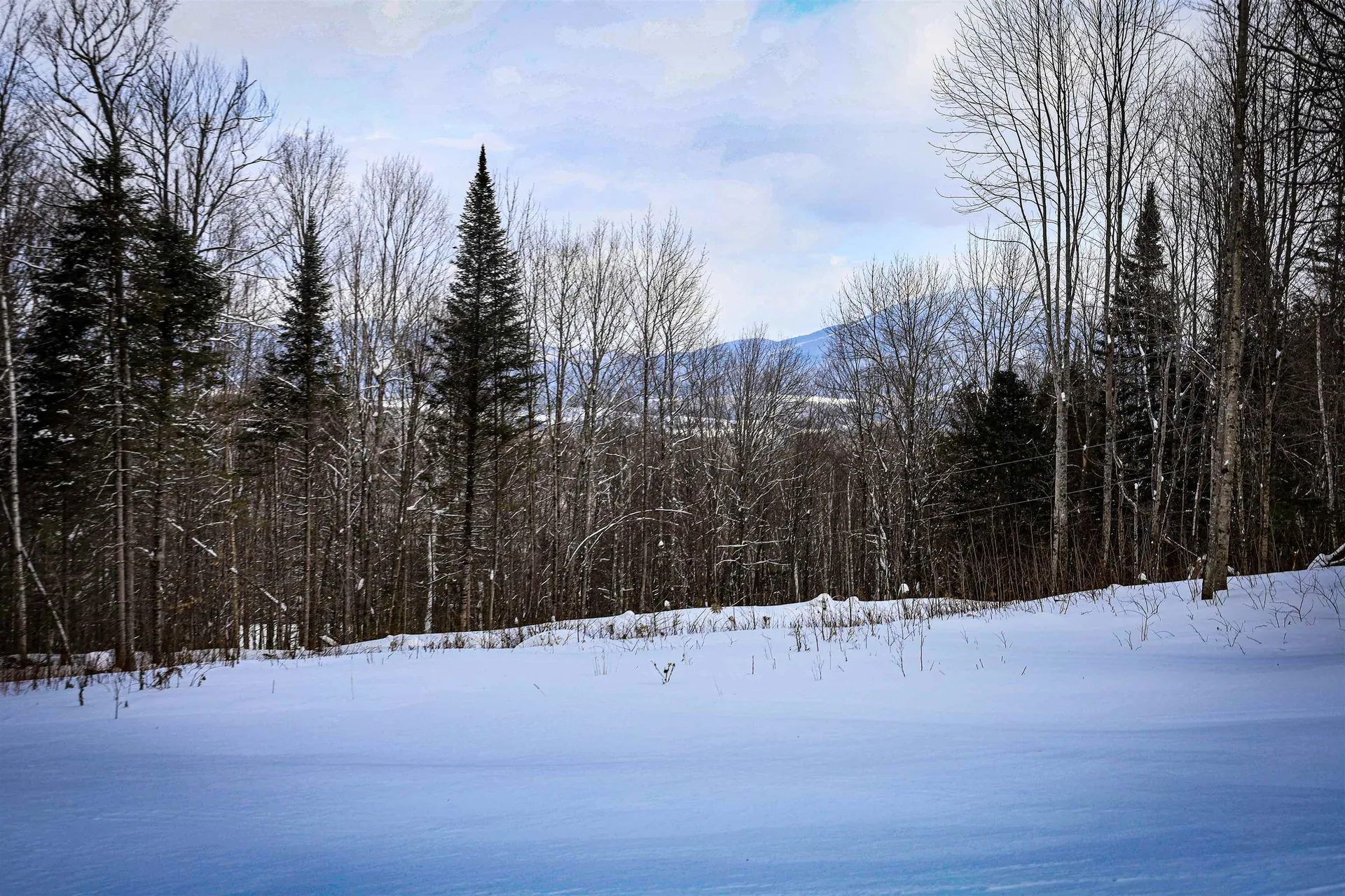 226 Dog Wood Lane Lyndon VT 05851