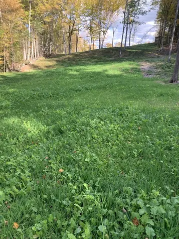 226 Dog Wood Lane Lyndon VT 05851