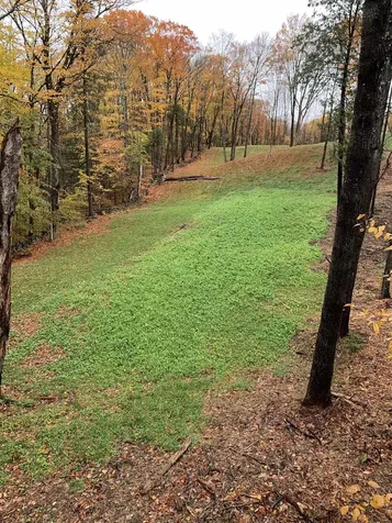 226 Dog Wood Lane Lyndon VT 05851