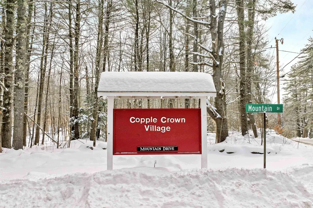 8 Saint Moritz Drive New Durham NH 03855