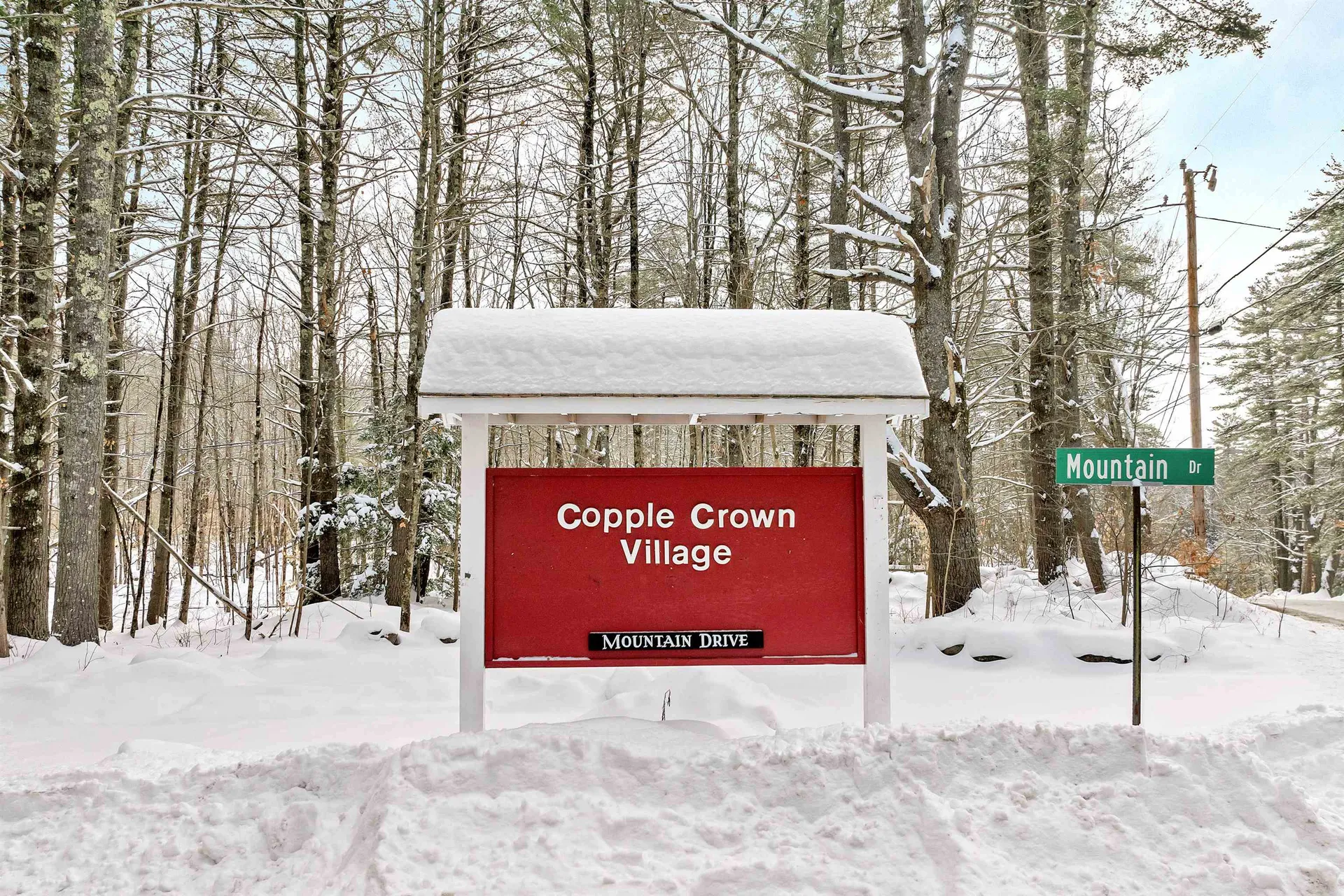 8 Saint Moritz Drive New Durham NH 03855