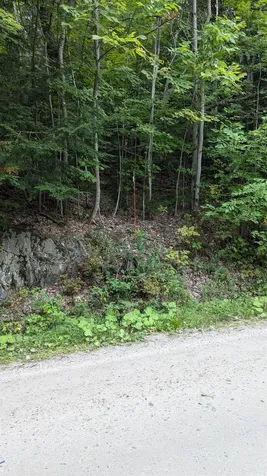 440 Hawk Mountain Road Pittsfield VT 05762