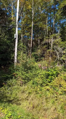 440 Hawk Mountain Road Pittsfield VT 05762