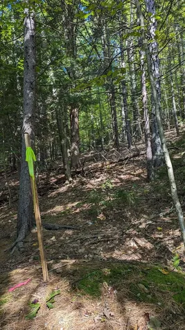 440 Hawk Mountain Road Pittsfield VT 05762