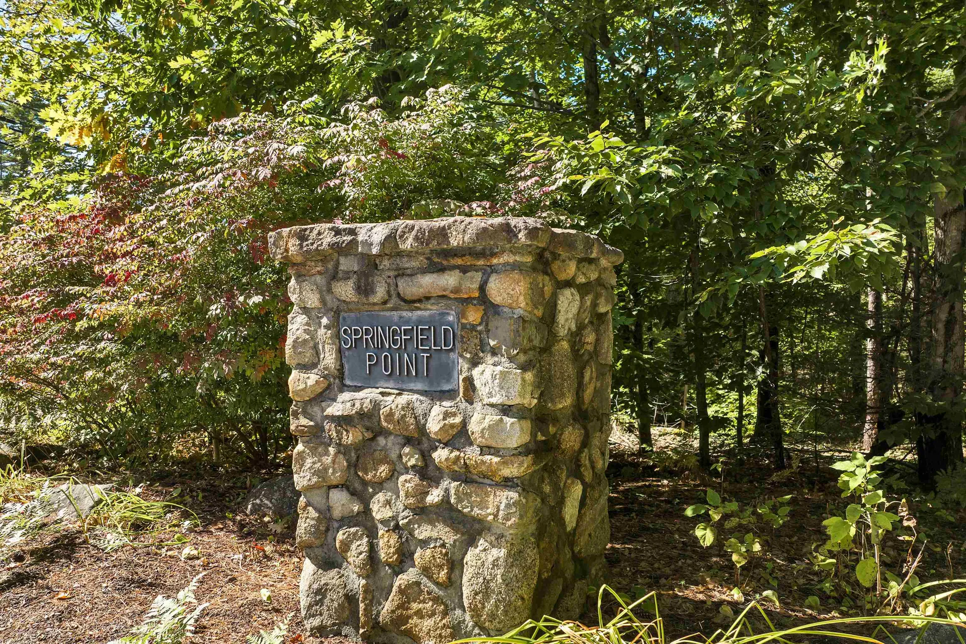 5 Delings Cove Road Wolfeboro NH 03894