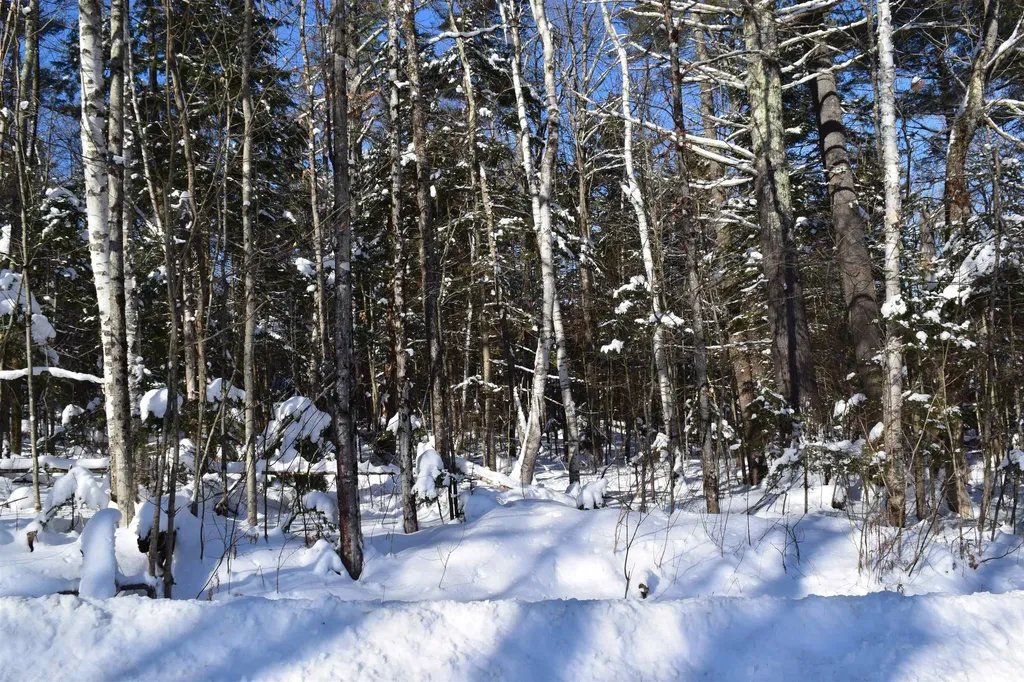 36 Howe Hill Road Benton NH 03785