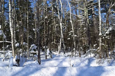 36 Howe Hill Road Benton NH 03785
