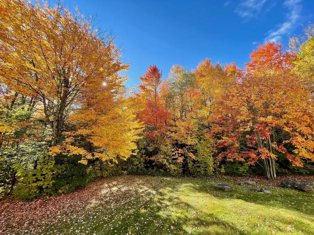 1799 German Flats Road Fayston VT 05673