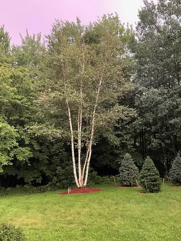 1799 German Flats Road Fayston VT 05673