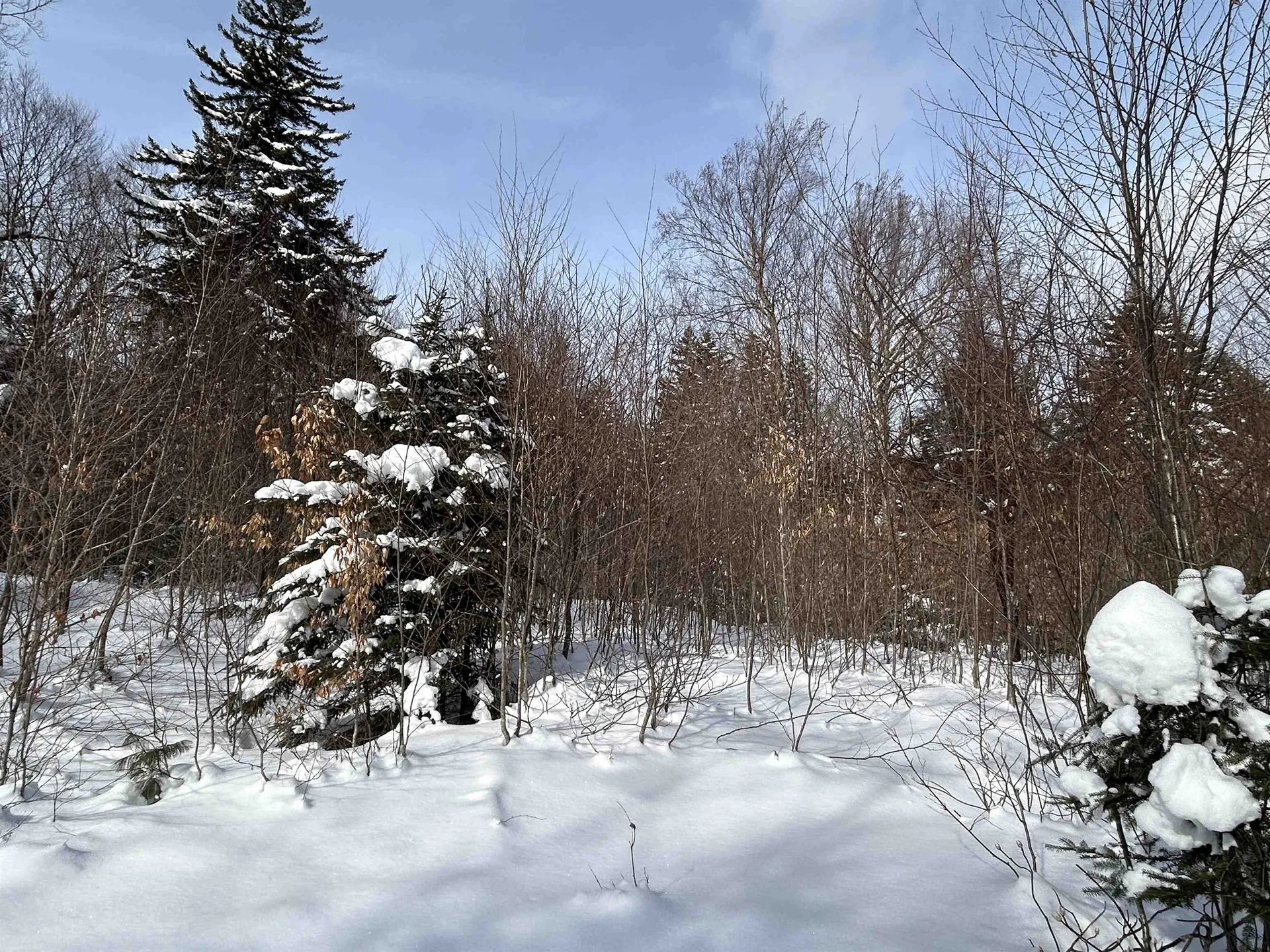 0 Stratton Arlington Road Stratton VT 05360