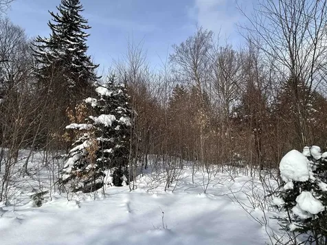 0 Stratton Arlington Road Stratton VT 05360