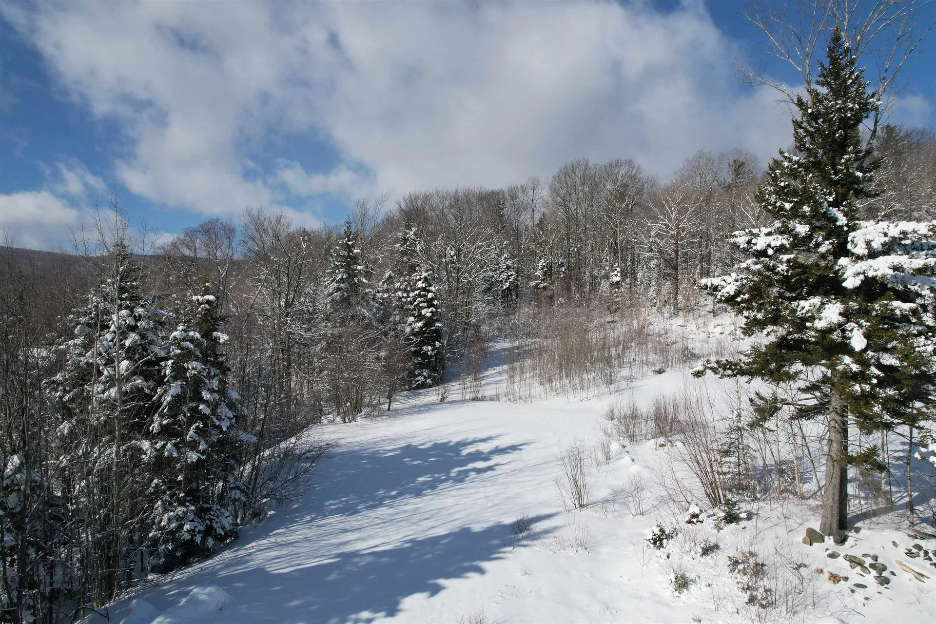 5 Pinnacle View Road Dover VT 05356