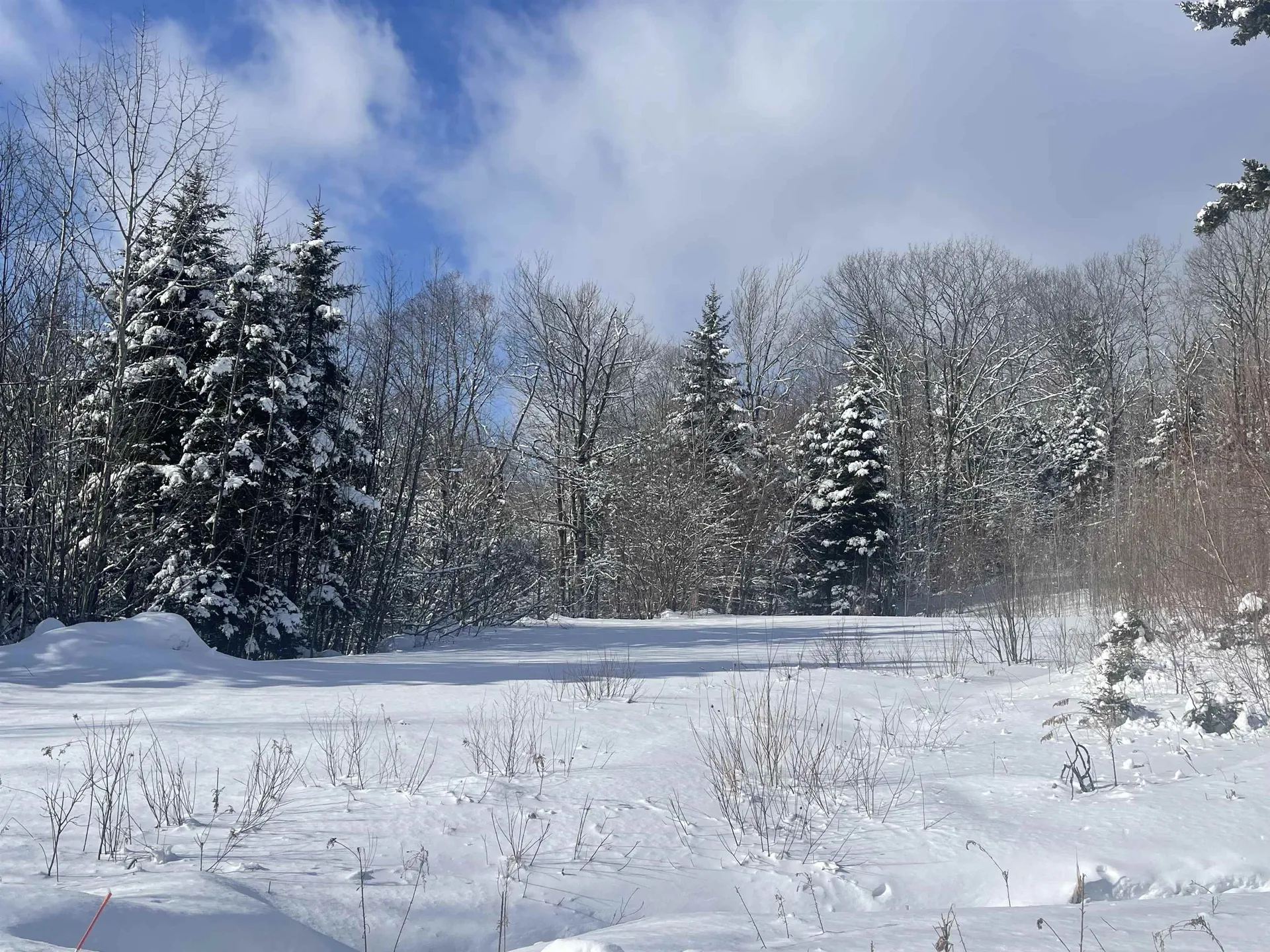 5 Pinnacle View Road Dover VT 05356