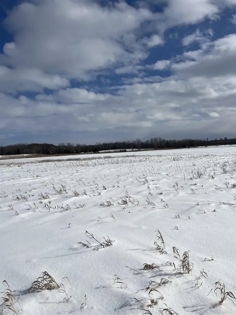 8a Sunset View Lane Isle La Motte VT 05463