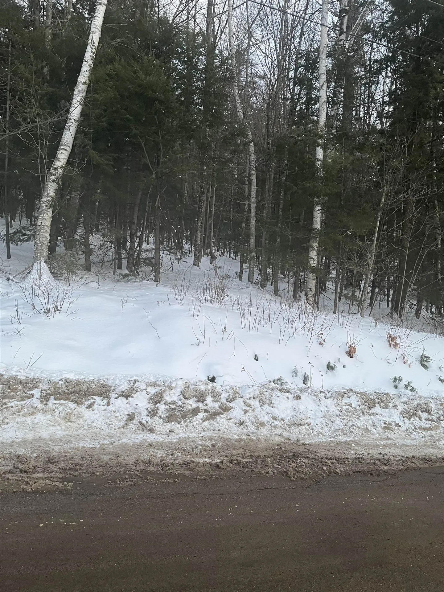 Hodgeman Hill Road Campton NH 03223