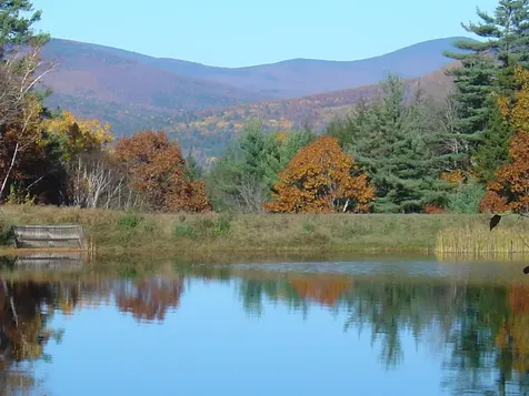 Hodgeman Hill Road Campton NH 03223