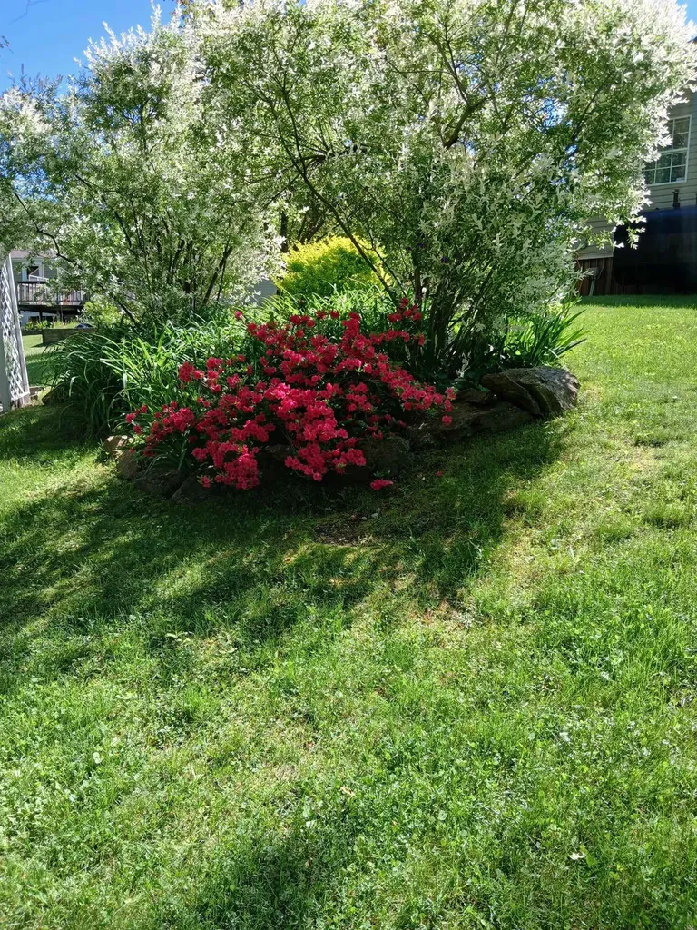 20 Woodland Park Troy NH 03465