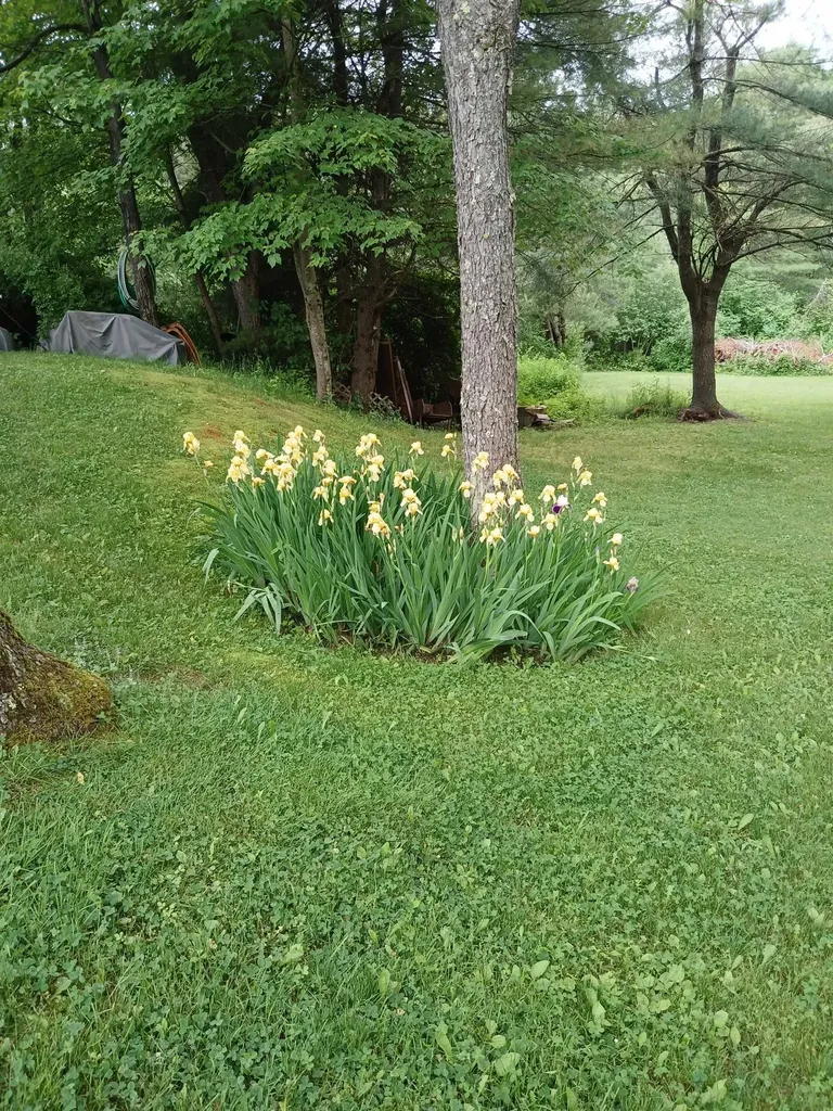 20 Woodland Park Troy NH 03465