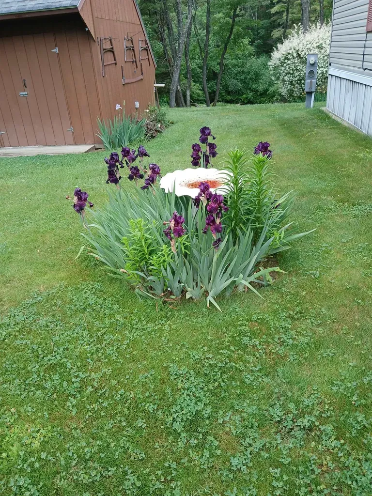 20 Woodland Park Troy NH 03465