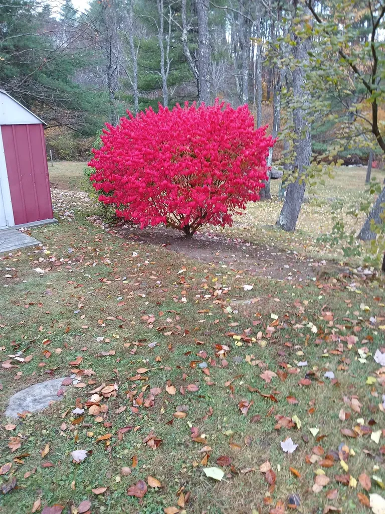 20 Woodland Park Troy NH 03465