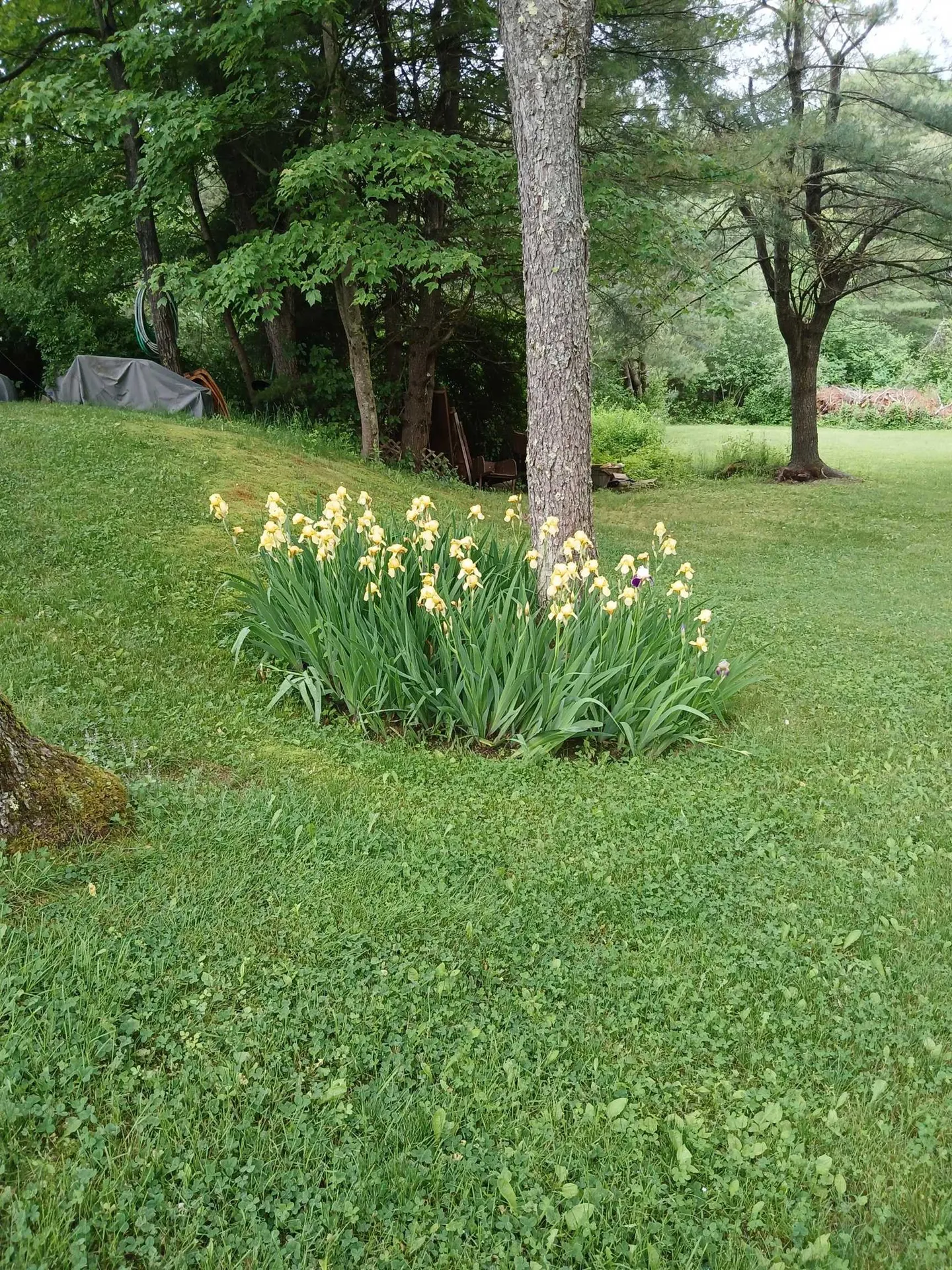 20 Woodland Park Troy NH 03465