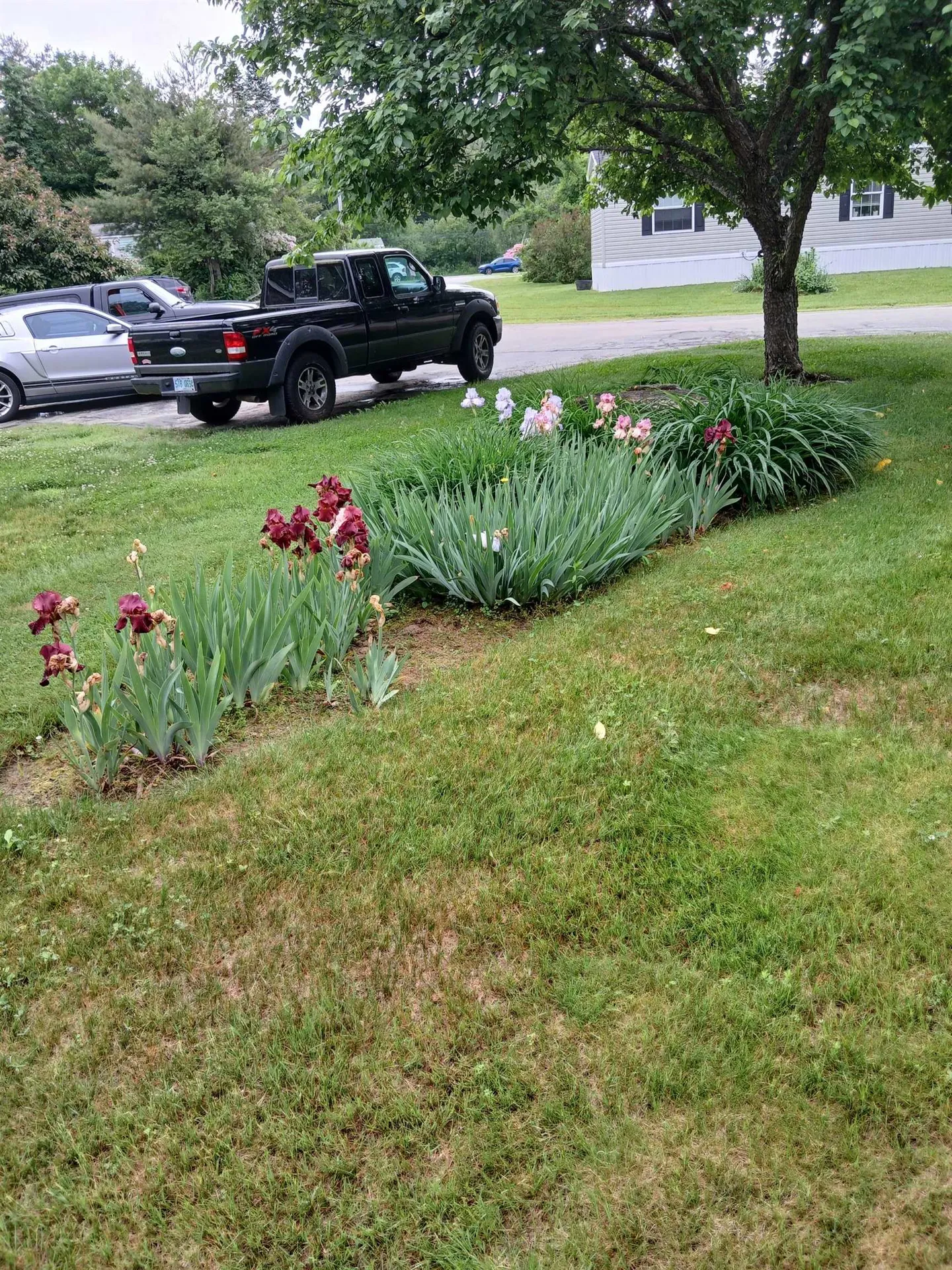 20 Woodland Park Troy NH 03465