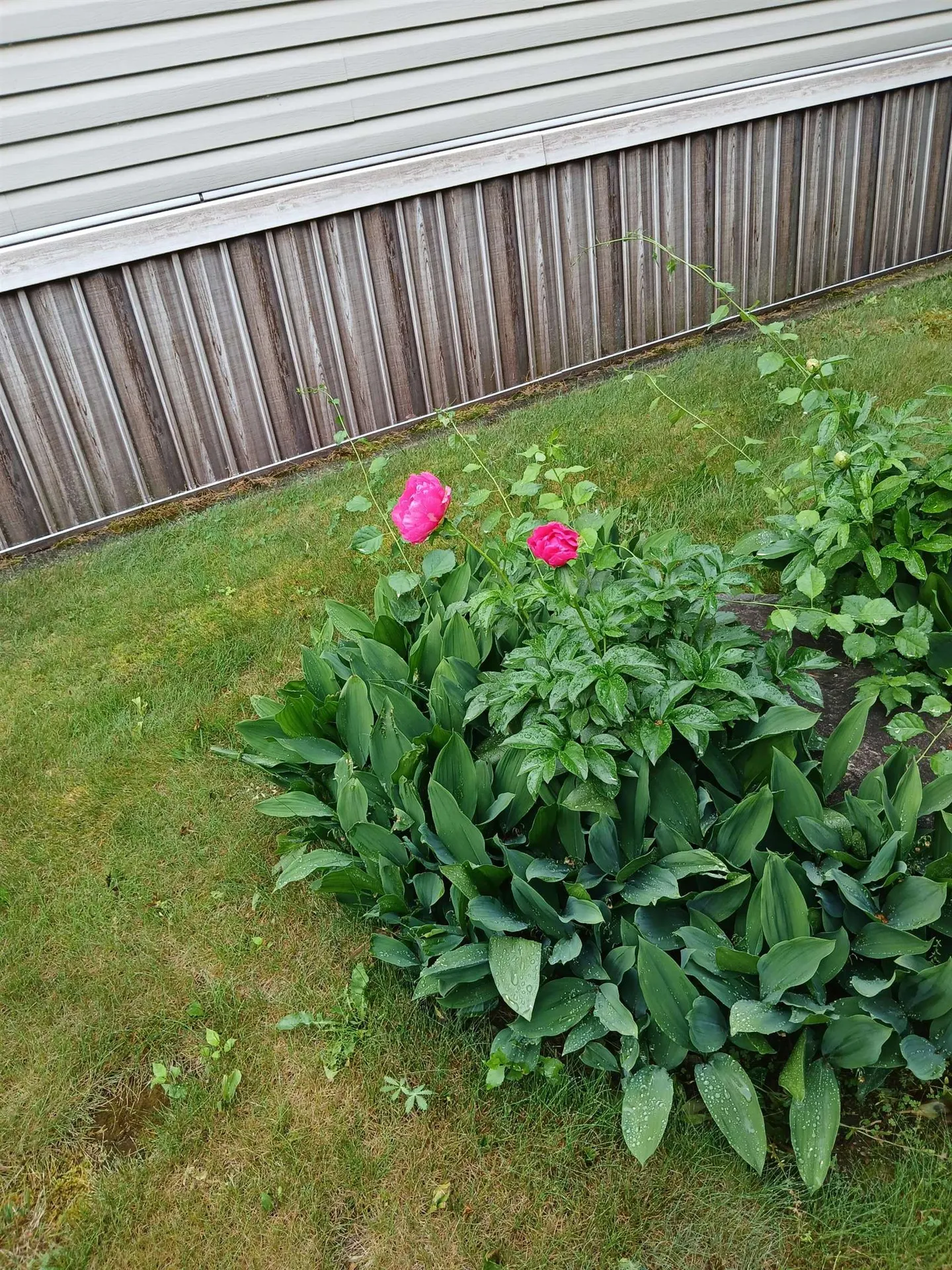 20 Woodland Park Troy NH 03465