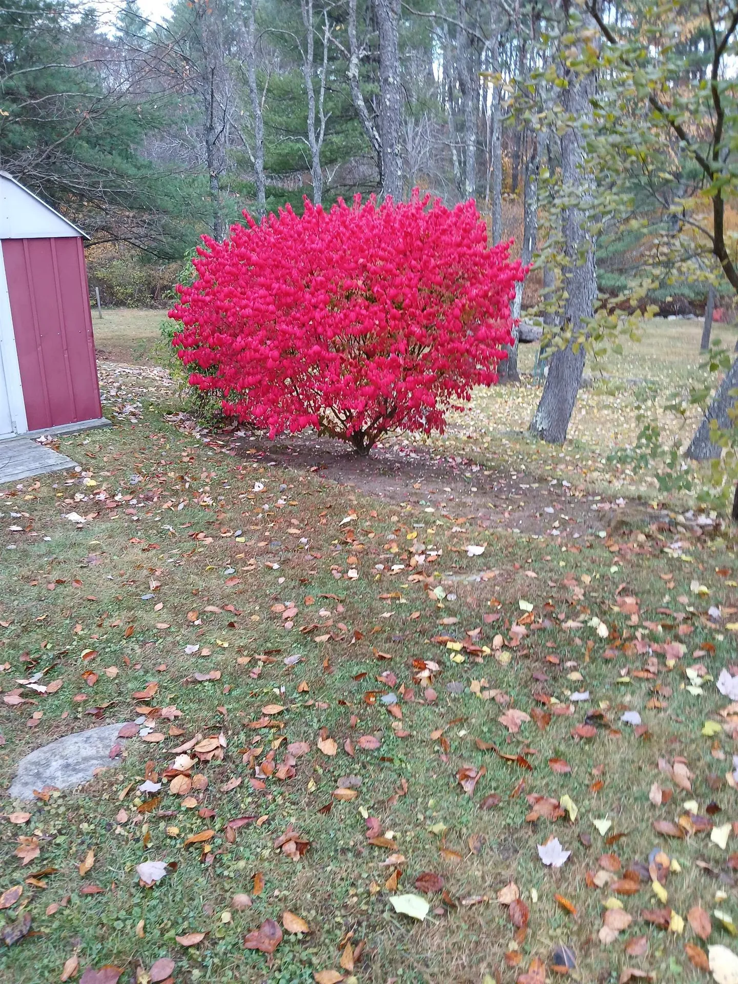 20 Woodland Park Troy NH 03465