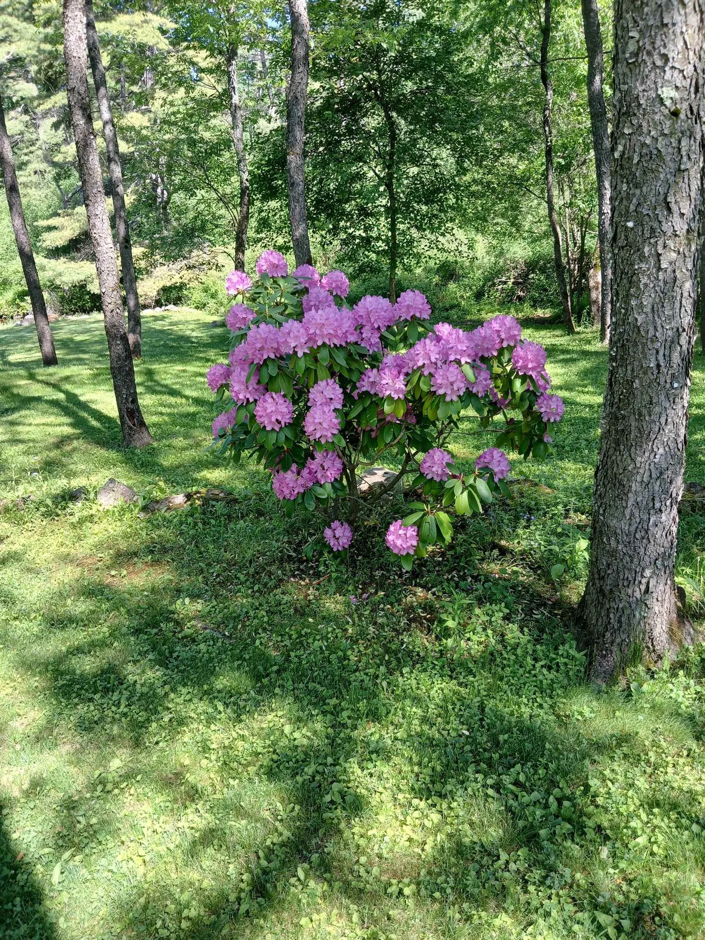 20 Woodland Park Troy NH 03465