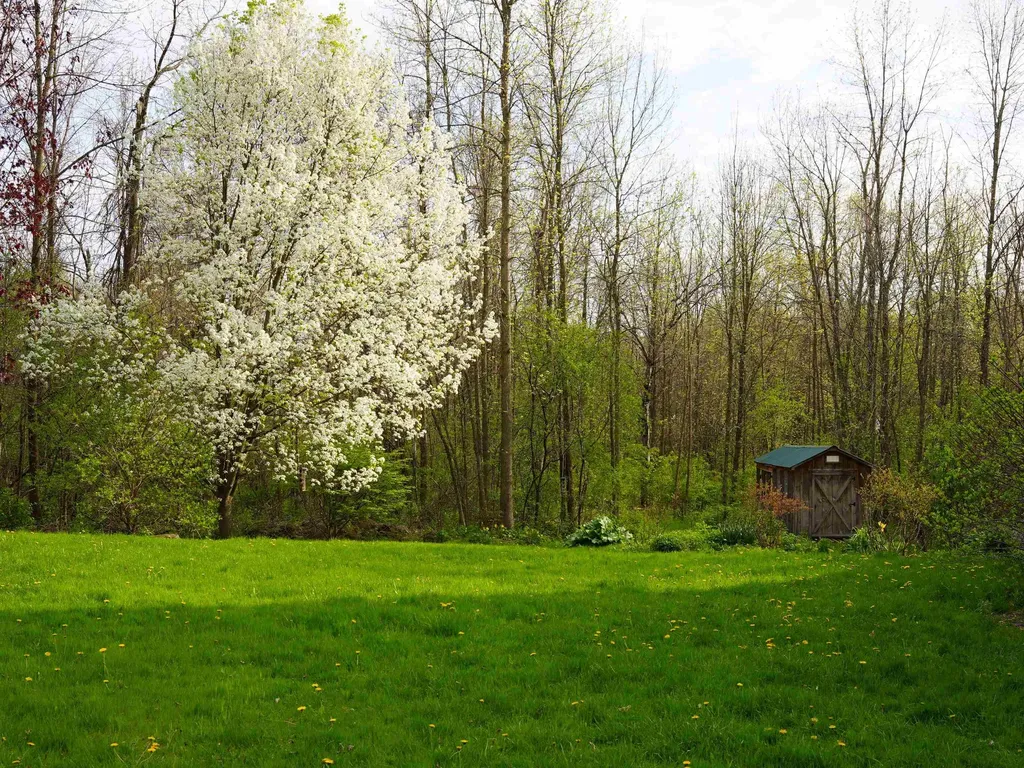 45 East Shore North Grand Isle VT 05458