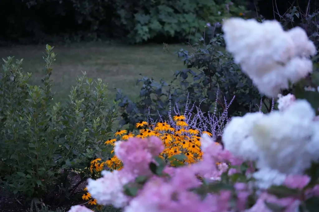 45 East Shore North Grand Isle VT 05458