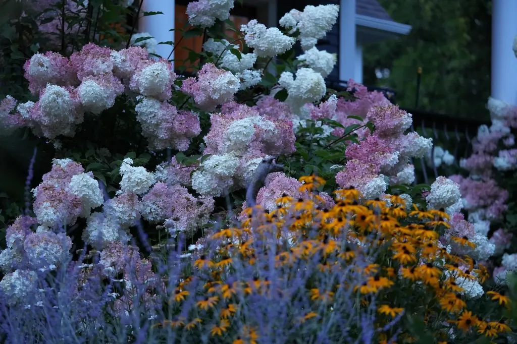 45 East Shore North Grand Isle VT 05458