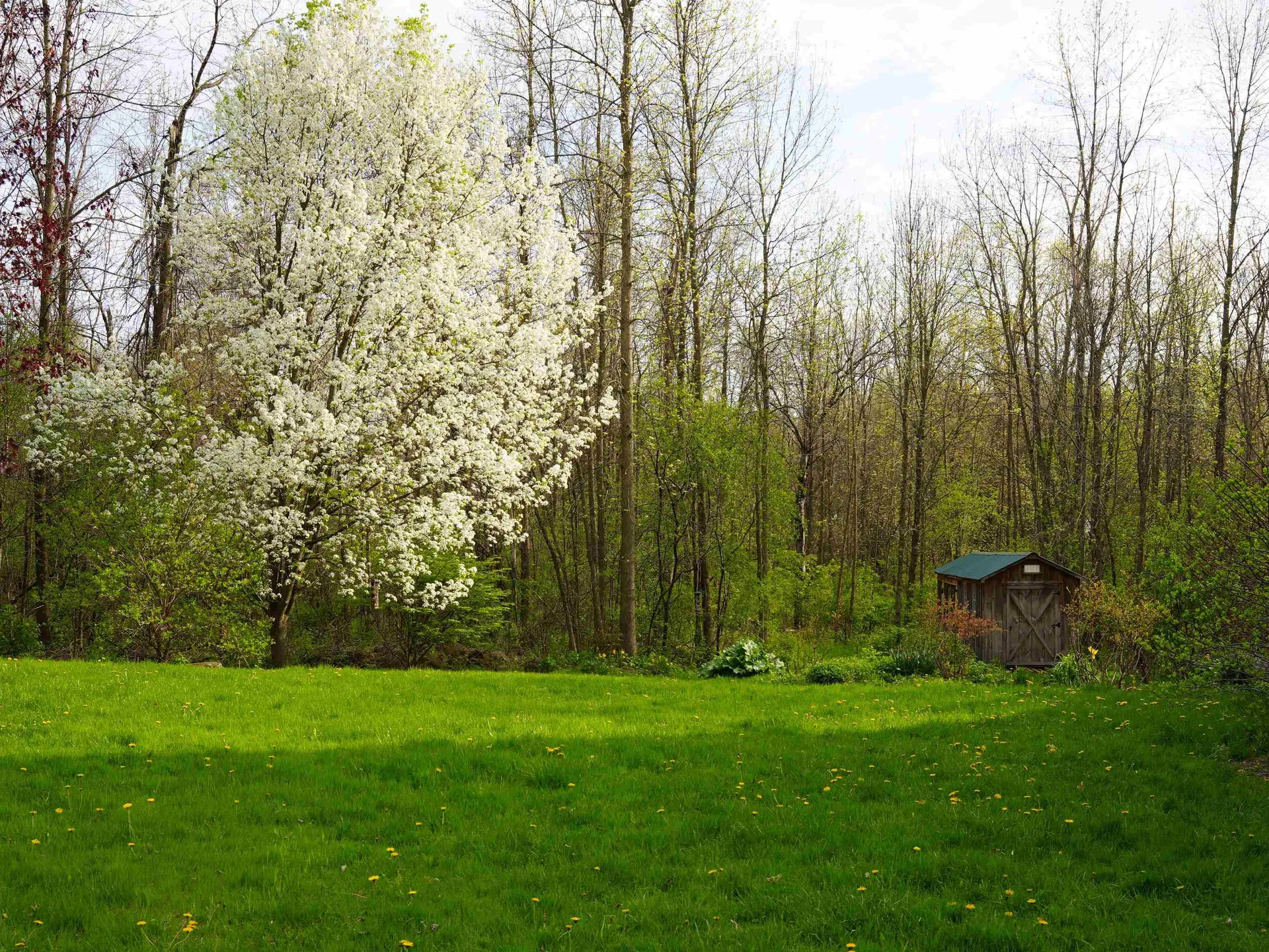 45 East Shore North Grand Isle VT 05458