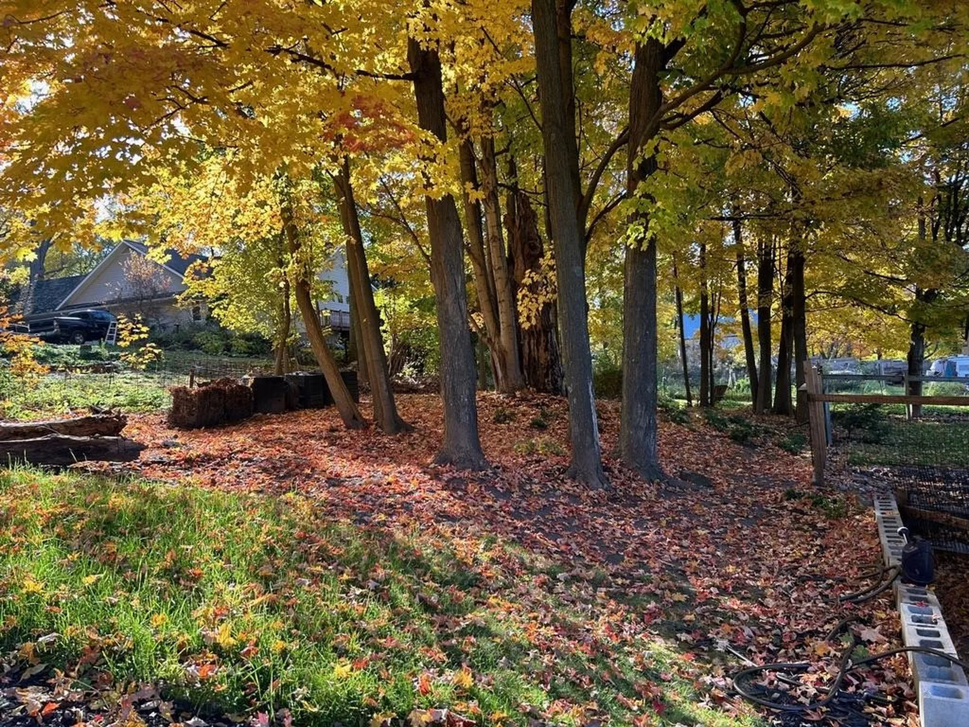 73 N Pleasant Street Middlebury VT 05753