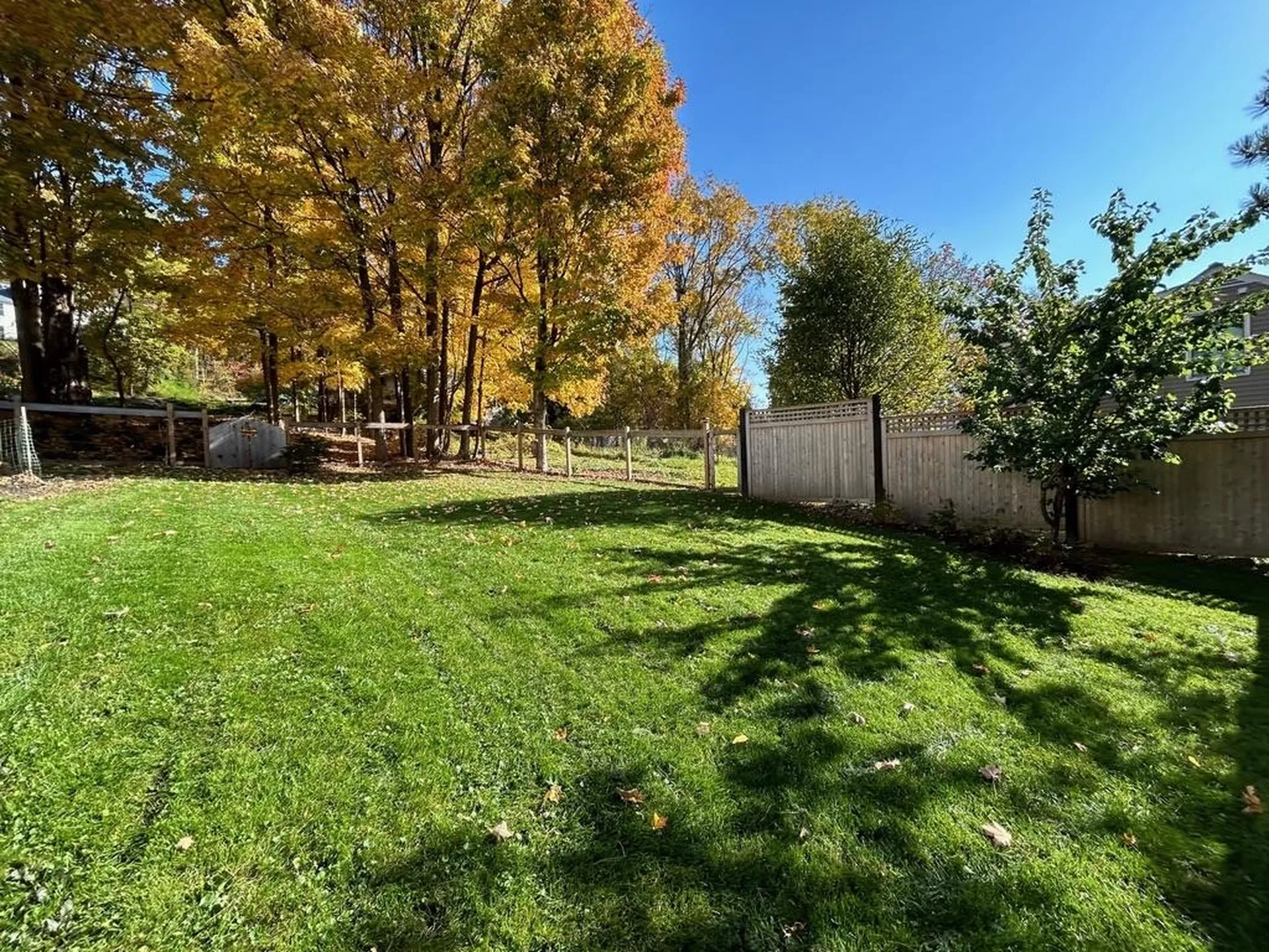 73 N Pleasant Street Middlebury VT 05753