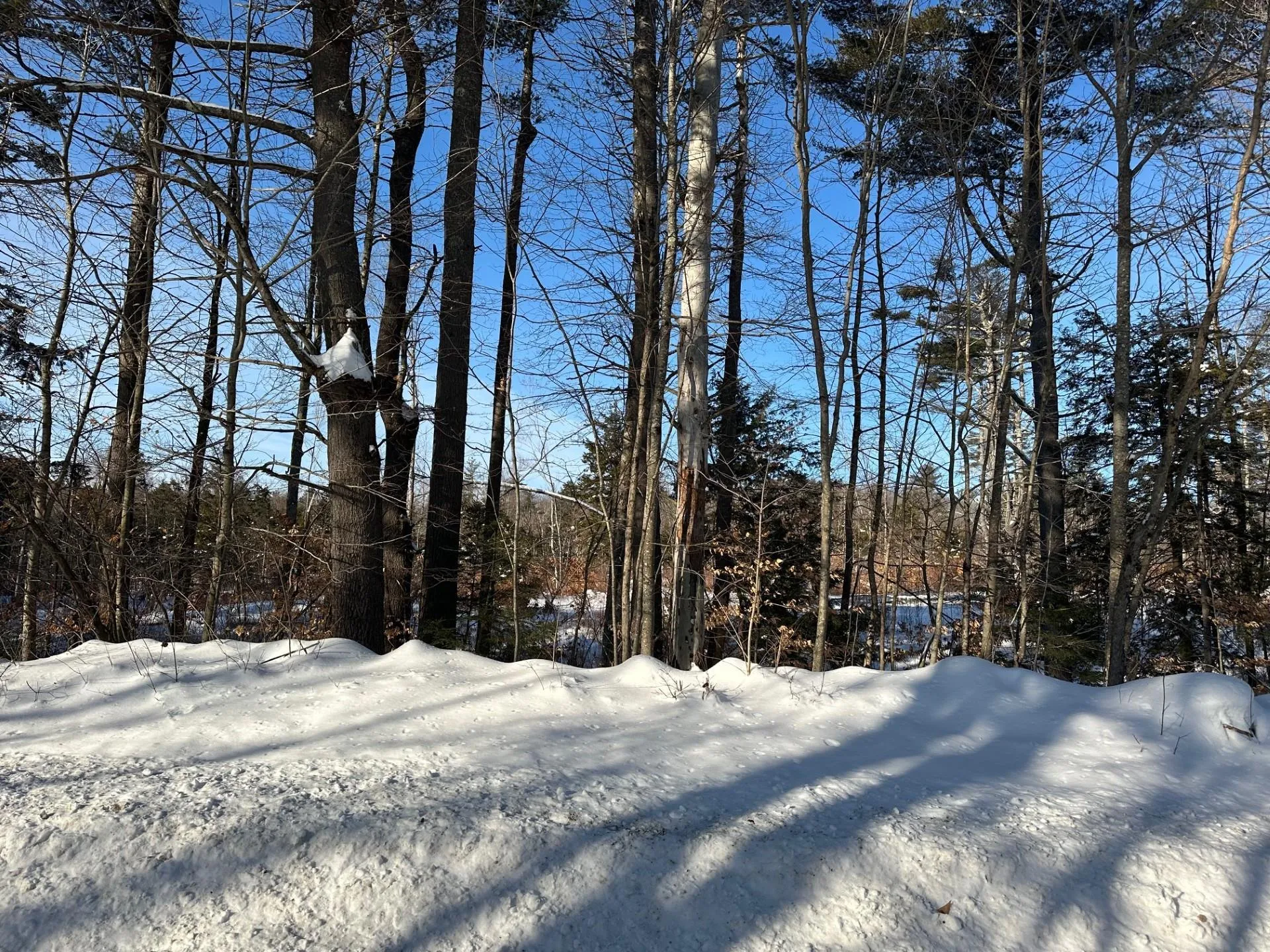 00 Berry Road New Durham NH 03855