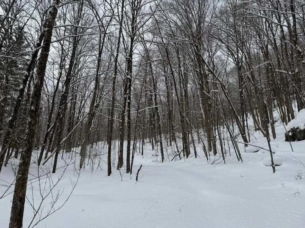 917 Eligo Lake Road Greensboro VT 05841