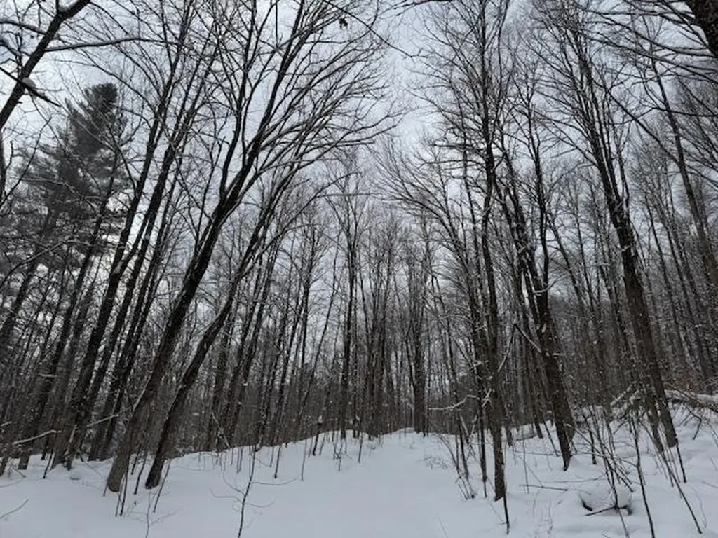 917 Eligo Lake Road Greensboro VT 05841