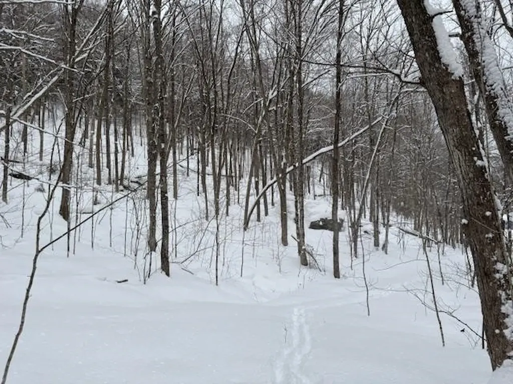 917 Eligo Lake Road Greensboro VT 05841