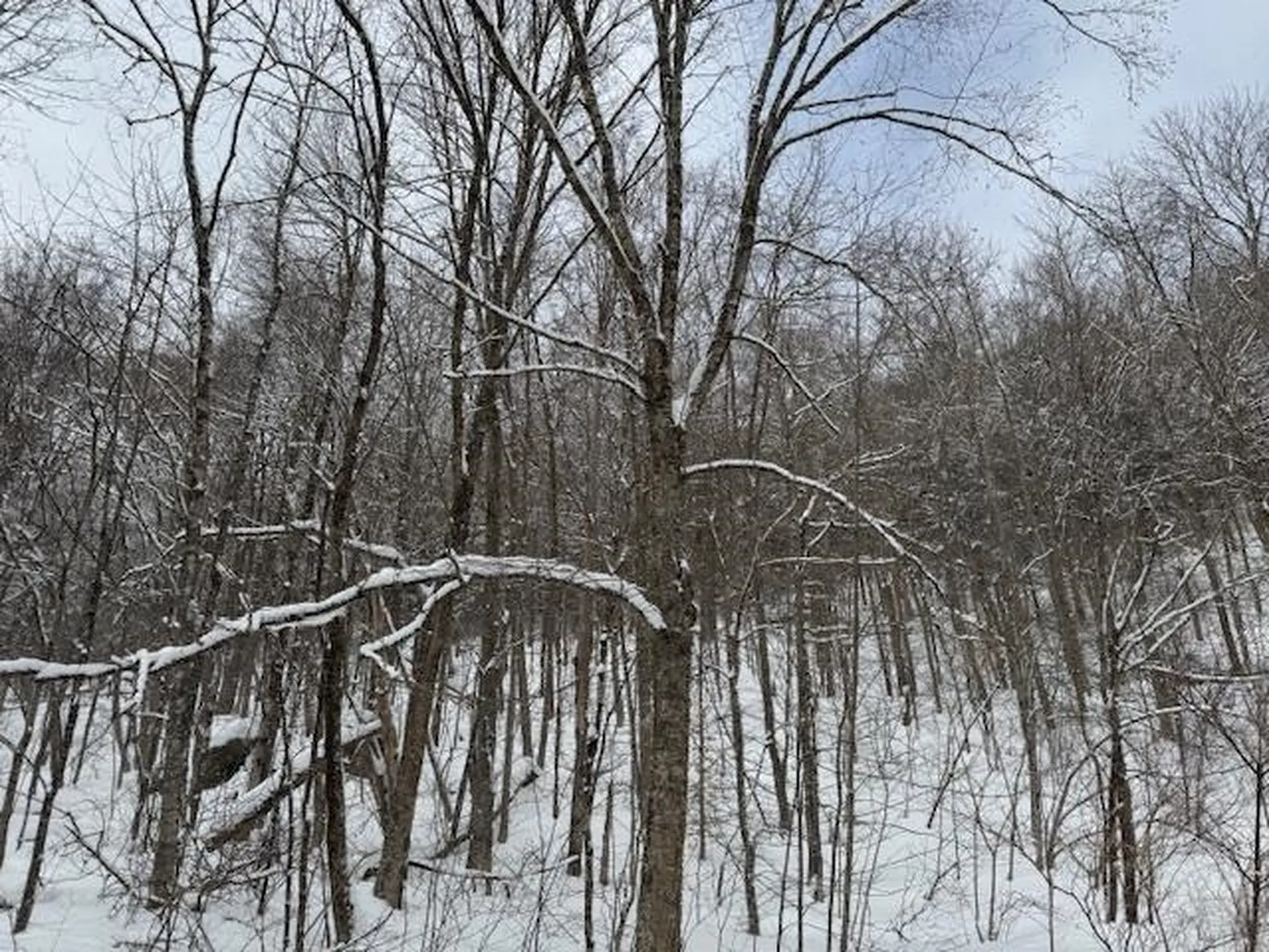 917 Eligo Lake Road Greensboro VT 05841