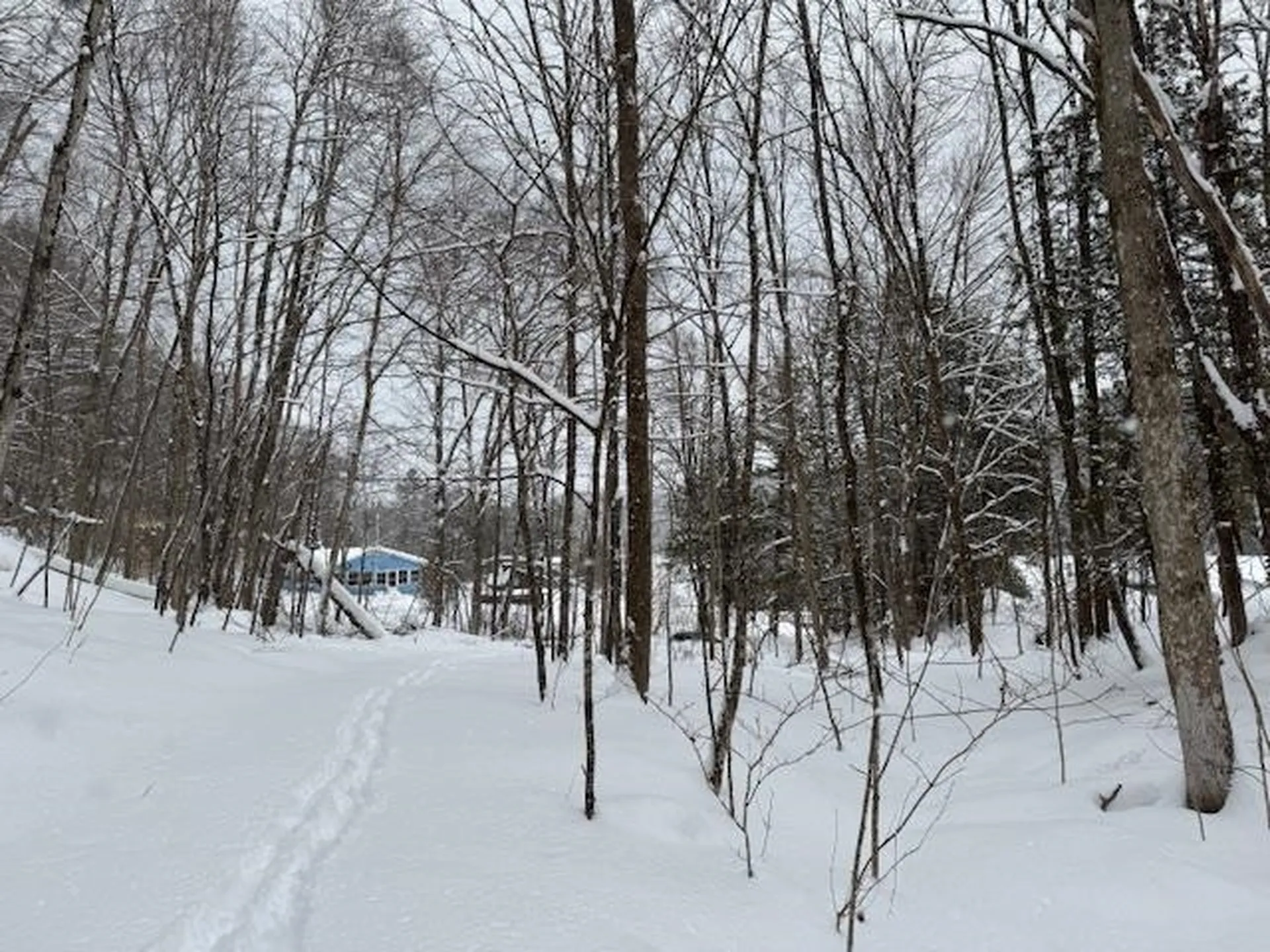 917 Eligo Lake Road Greensboro VT 05841