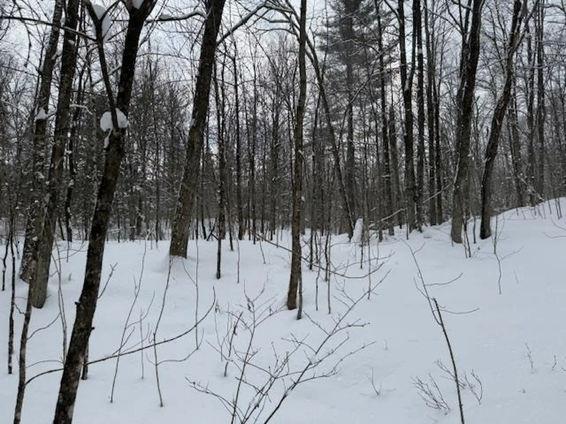 917 Eligo Lake Road Greensboro VT 05841