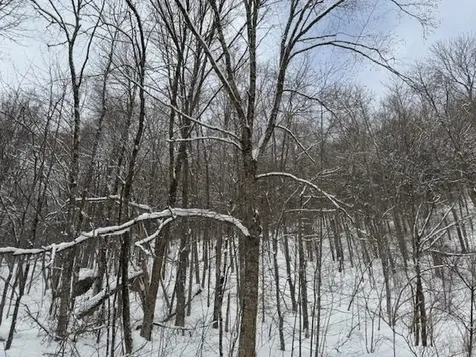 917 Eligo Lake Road Greensboro VT 05841