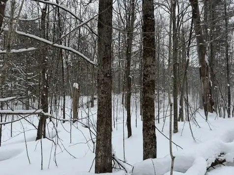 917 Eligo Lake Road Greensboro VT 05841